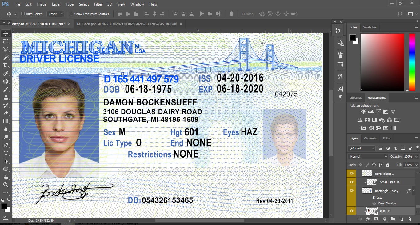 free drivers license template software
